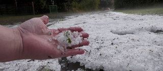 Hagelkörner bedecken eine Wiese. Damit Hagel entsteht braucht es niedrige Temperaturen und starke Winde.
