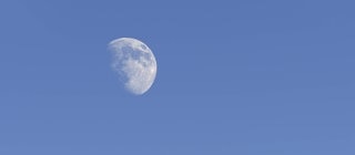 Der Mond am Tag über einer Tanne im Schnee: Warum sehen wir den Mond auch am hellichten Tag?