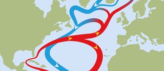 Der Golfstrom sorgt für milde Temperaturen in Nordeuropa. Er gehört zu den zahlreichen Meeresströmungen rund um den Globus. 