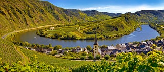 Panoramablick auf die Moselschleife bei Bremm in Rheinland-Pfalz. Die Mosel ist ein Fluss mit vielen Mäandern.