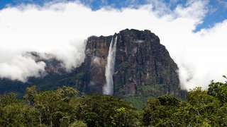 Blick auf den Salto Ángel in Venezuela. Er ist der höchste Wasserfall der Erde.