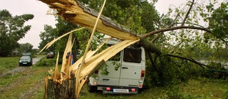 Baum auf ein Transporter gestürzt: Wie entstehen Wirbelstürme und welchen Schaden verursachen sie?