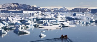 Eine Landschaft aus vielen kleinen Eisbergen. Sie brechen an den Küsten der Polarmeere von den Gletschern ab.