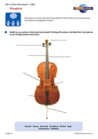 Arbeitsblatt 3e: Dein Instrument: Cello (Foto: )