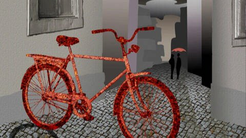 Fahrrad mit Rost (Foto: SWR – Screenshot aus der Sendung)