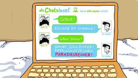 Chatkanal auf Computer (Foto: SWR – Screenshot aus der Sendung / Leo Leowald)