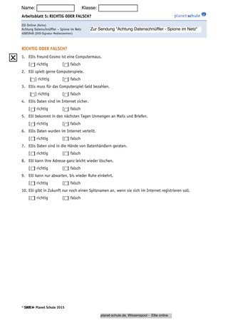 Arbeitsblatt 5: Elli Online: Richtig oder falsch?