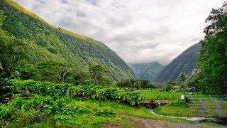 Klimazone Tropen: Die feuchten Regionen mit dem Regenwald sind nur ein Teil der Tropen - auch die Sawanne gehört dazu.