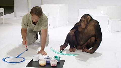 Der Mensch Oliver und Sina die Schimpansin malen gemeinsam (Foto: SWR - Screenshot aus der Sendung)