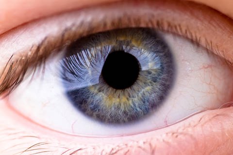 Großaufnahme eines menschlichen Auges (Foto: www.colourbox.com)