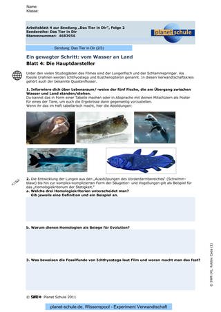 Arbeitsblatt 4: Vom Wasser an Land: fünf Fische (Foto: )
