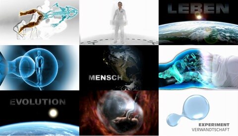 Bildcollage aus Das Tier in Dir.