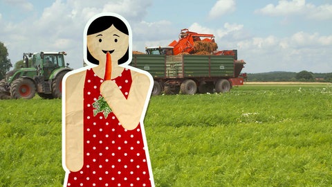 Screenshot aus der Sendereihe 