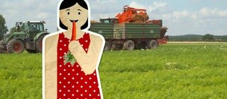 Screenshot aus der Sendereihe "Feldküche"