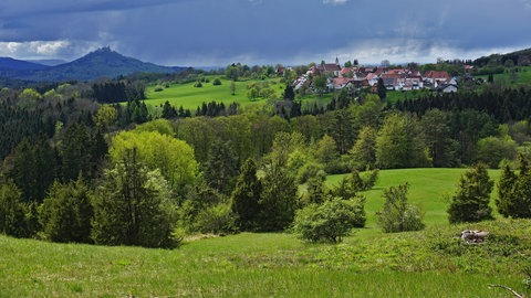 Wacholderheide auf der Schwäbischen Alb