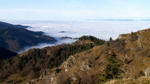 Blick in den mit Wolken bedeckten Oberrheingraben. (Foto: SWR)