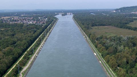 Luftaufnahme des Rheins. (Foto: SWR)