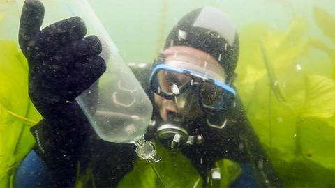 Ein Forscher sammelt unter Wasser Gasblasen aus einer Mofette. (Foto: SWR)
