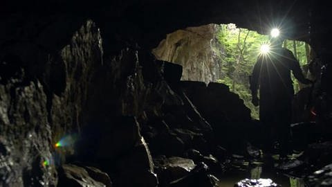 Zwei Menschen steigen in eine Höhle hinab. Beide mit Taschenlampen ausgestattet. (Foto: SWR)