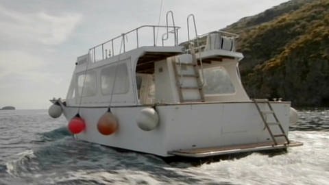 Großes Motorboot vor einer Insel. (Foto: SWR – Screenshot aus der Sendung)