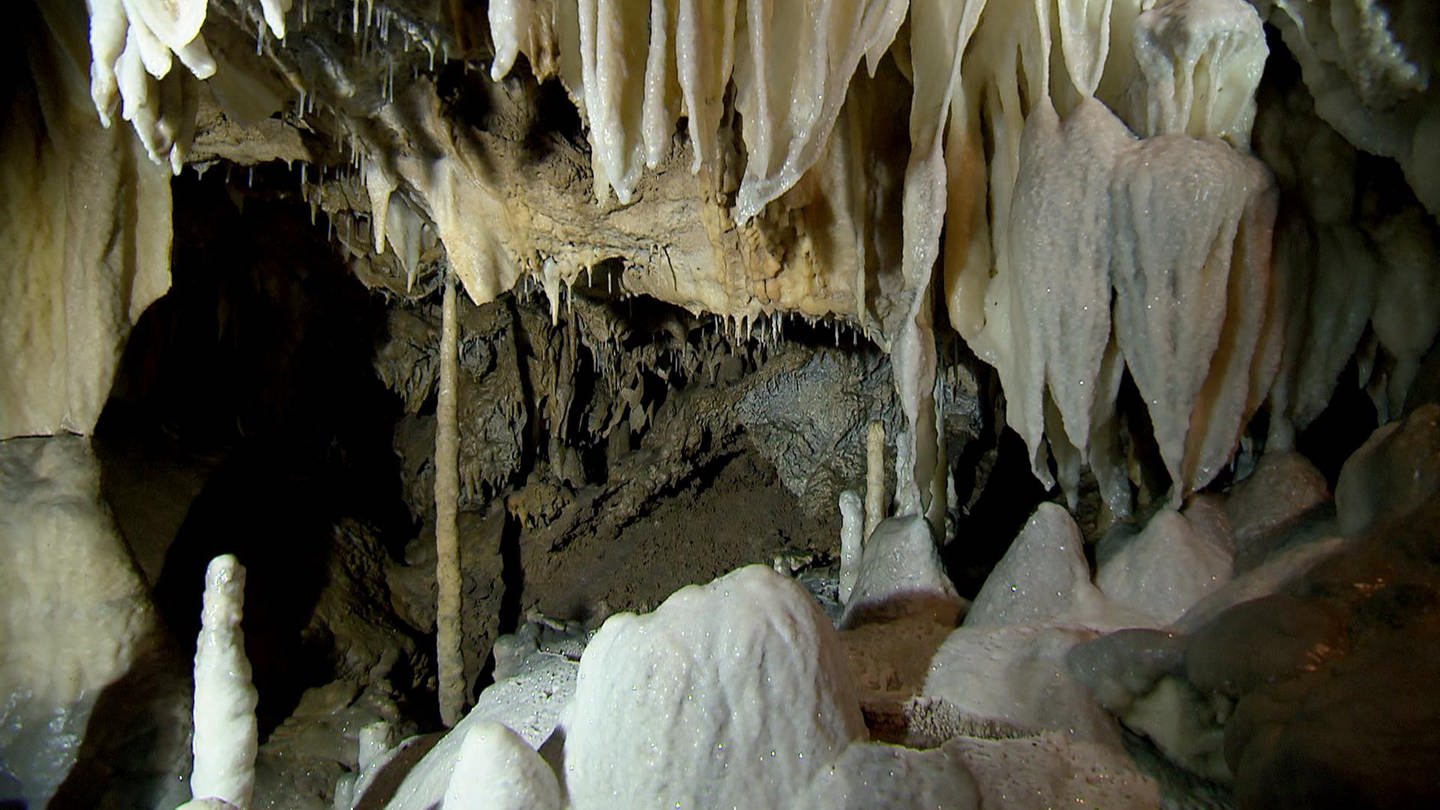 Blick in eine Tropfsteinhöhle. (Foto: SWR - Screenshot aus der Sendung)
