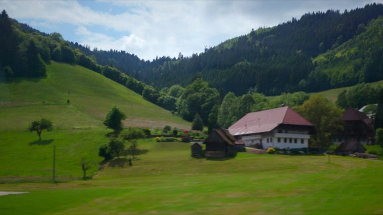 Blick auf einen Schwarzwaldhof. (Foto: SWR - Screenshot aus der Sendung)