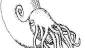 Illustration: Rekonstruktion eines lebenden Ammoniten