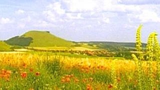 Eine Wiesenlandschaft, im Hintergrund ist ein großer Hügel zu sehen