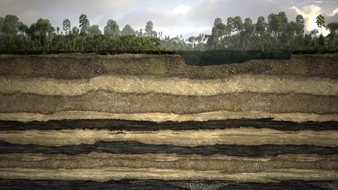Ein Querschnitt des Bodens, unter einer bewaldeten Oberfläche sind mehrere Schichten in verschiedenen Grau-, Sand- und Schwarztönen.