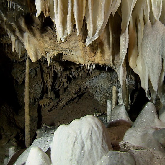 Tropfsteinhöhle. (Foto: SWR – Screenshot aus der Sendung)