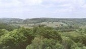 Panoramabild einer hügeligen Waldlandschaft