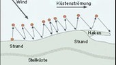Illustration: Wind und Küstenströmung bilden einen Haken am Strand.