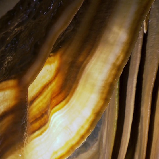 In Schichten eingefärbte dünne Kalkformation.