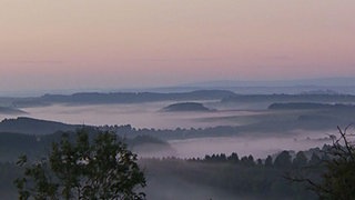 Blick in ein wolkenbedecktes Eifel-Tal
