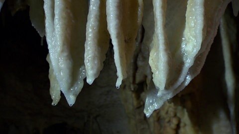 Stalagtiten.