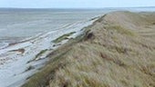Eine mit Gras bewachsene Düne am Strand.