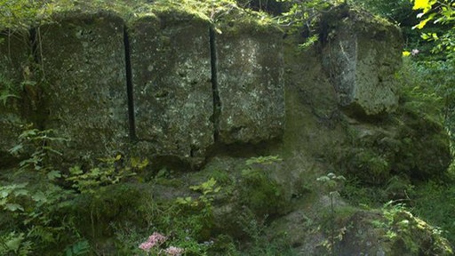 Große Gesteinsformationen in einem Wald