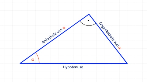 Ein rechtwinkliges Dreieck mit Ankathete, Gegenkathete und Hypotenuse  | kolleg24 Mathematik
