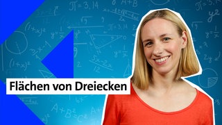 Presenterin der Folge zu Flächen von Dreiecken im kolleg24 Mathematik