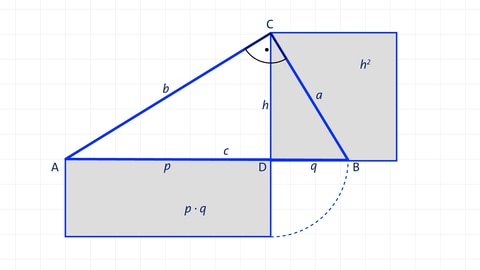 Höhensatz des Euklid