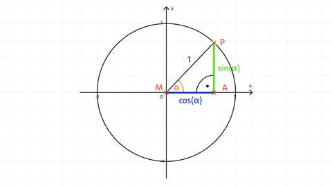 Grafik eines Einheitskreises mit Sinus und Kosinus zum Punkt P | kolleg24 Mathematik