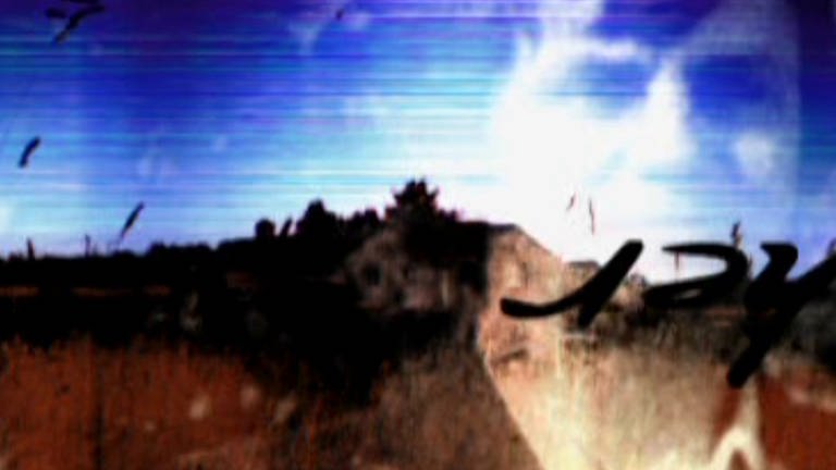 Bannerbild (Foto: SWR – Screenshot aus der Sendung)