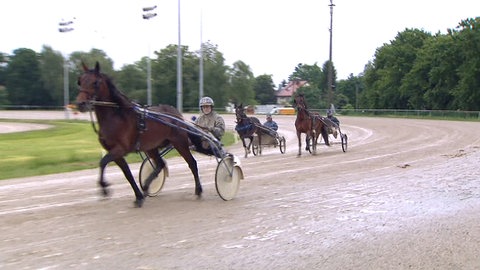 Teaserbild Textverständnis