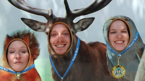 Teaserbild Satzarten