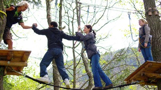 Teaserbild Diktattraining