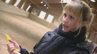 Teaserbild Umfang Fläche