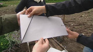 Teaserbild Parallelogramm