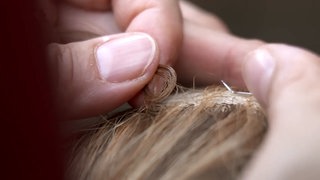 Sujetbild aus dem Film: Perücke knüpfen