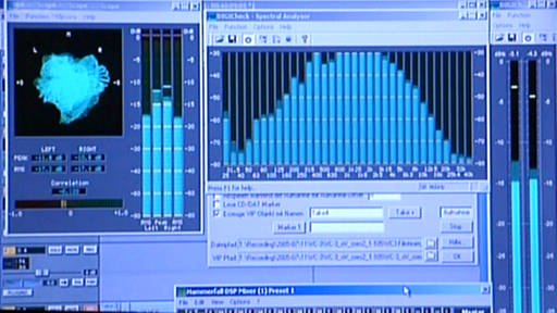 Grafische Darstellung eines Streichersamples (Foto: SWR - Screenshot aus der Sendung)