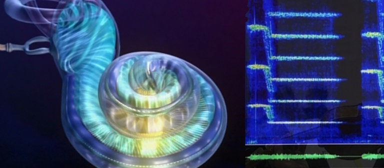 Collage Bannerbild (Foto: SWR – Screenshot aus der Sendung, Collage: SWR)